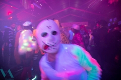 Carnaval2019 (83)